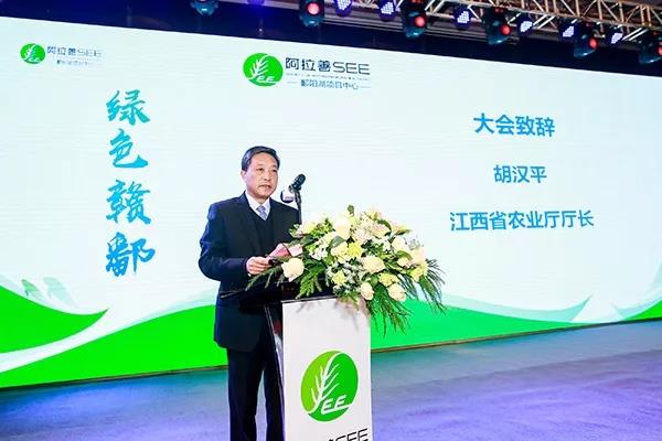 1571304568502892.jpg 08.jpg